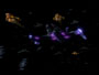 Dominion Cruiser