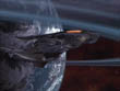 'ona Command Ship