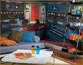 Star Trek Wall Stickers