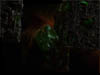 Queen Borg Ship