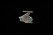 Romulan bird of prey Class